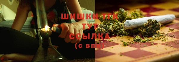 винт Аркадак