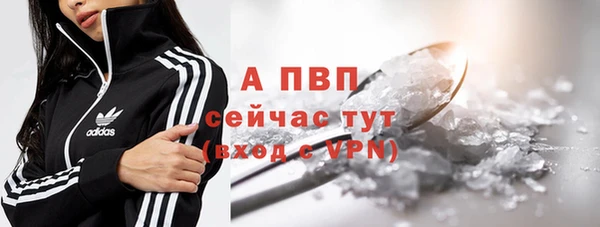 винт Аркадак